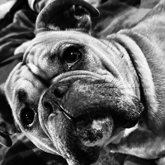 rosey00153